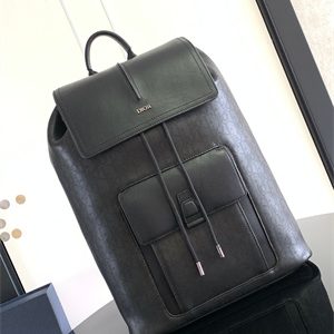 Dior Backpack Black Oblique Calfskin