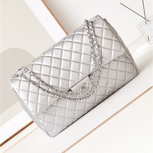 Cha.nel CF Airport Bag Calfskin Silver Tone Metal Silver AS4661