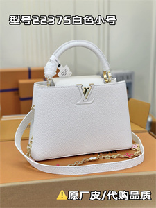 L.V Capucines BB Bag Taurillon Leather White M22375