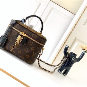 L.V Vanity PM Bag Monogram Canvas M45165