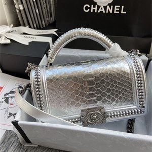 Cha.nel Medium Leboy Bag With Top Handle Python Leather Silver Metal A94804