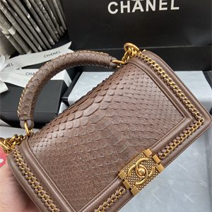 Cha.nel Medium Leboy Bag With Top Handle Python Leather Gold Metal A94804