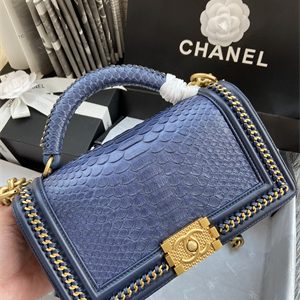 Cha.nel Medium Leboy Bag With Top Handle Python Leather Gold Metal A94804