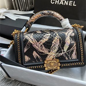 Cha.nel Medium Leboy Bag With Top Handle Python Leather Gold Metal A94804