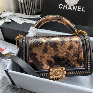Cha.nel Medium Leboy Bag With Top Handle Python Leather Gold Metal A94804