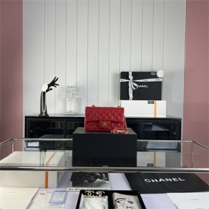 Cha.nel Mini Classic Flap Bag Lambskin Gold Tone Metal Red 01116