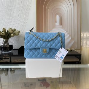 Cha.nel Medium Classic Flap Bag Lambskin Gold Tone Metal Blue 01112