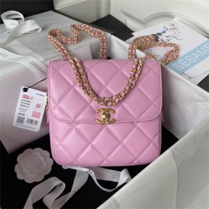 Cha.nel Backpack Lambskin Gold Tone Metal Pink AS3884
