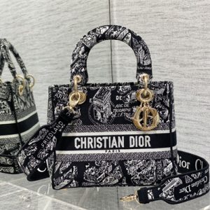 CD Medium Lady Di.or D-Lite Bag Plan de Paris Embroidery Black and White
