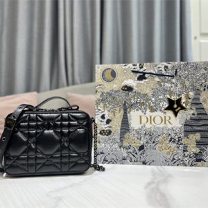 CD Caro Box Bag Macrocannage Calfskin Guncolor Tone Metal Black