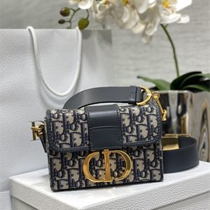 CD 30 Montaigne Box Bag Blue Oblique Jacquard