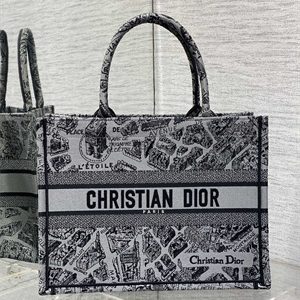 CD Medium Book Tote Grey and Black Plan de Paris Embroidery