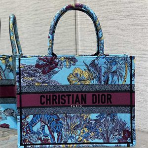 CD Medium Book Tote Voyage Toile de Jouy Embroidery Blue and Multicolor