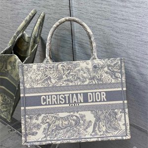 CD Medium Book Tote Toile de Jouy Embroidery Ecru and Grey