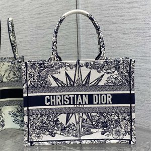 CD Medium Book Tote R??ve d'Infini Embroidery White and Blue