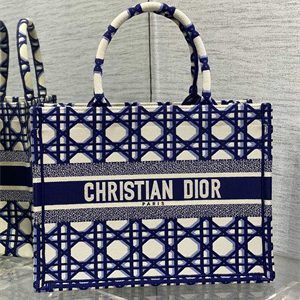 CD Medium Book Tote Beige and Blue Macrocannage Embroidery