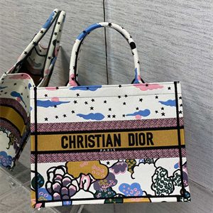 CD Medium Book Tote Ciel de R??ve Embroidery White Multicolor