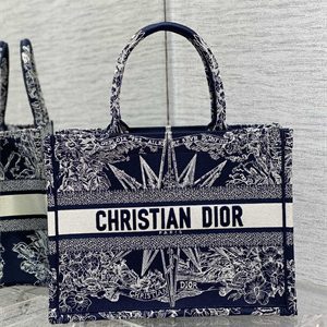 CD Medium Book Tote R??ve d'Infini Embroidery Blue and White