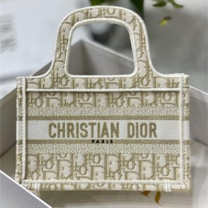 CD Mini Book Tote Oblique Embroidery White and Gold Tone