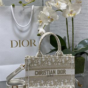 CD Mini Book Tote With Strap Oblique Embroidery White and Gold Tone