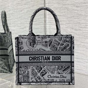 CD Small Book Tote Grey and Black Plan de Paris Embroidery