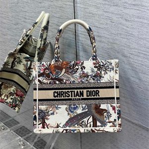 CD Small Book Tote Jardin d'Hiver Embroidery White Multicolor