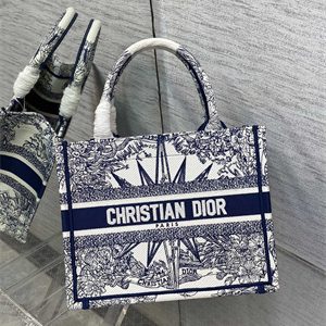 CD Small Book Tote R??ve d'Infini Embroidery White and Blue