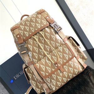 Large Di.or Hit The Road Backpack Brown CD Diamond Canvas