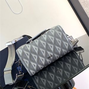 Di.or Lingot 22 Shoulder Bag Grey CD Diamond Canvas