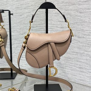 CD Mini Saddle Bag Grained Calfskin Blush Color
