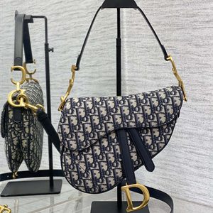 CD Saddle Bag Oblique Jacquard Blue Color