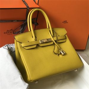 Bir.kin Bag Calfskin Leather 25/30/35CM Gold/Silver Hardware In Jaune Amber Color