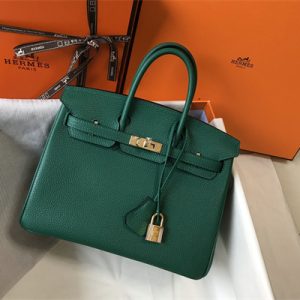 Bir.kin Bag Calfskin Leather 25/30/35CM Gold/Silver Hardware In Vert Vertigo Color