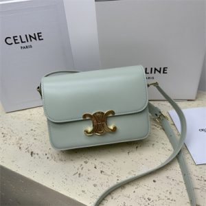 Celine Teen Triomphe Bag In Shiny Calfskin Pale Green Color