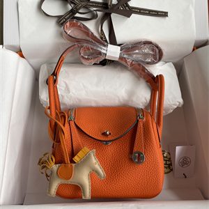 Lindy Mini Bag Taurillon Clemence Leather Gold/Silver Tone Metal In Orange Color HS
