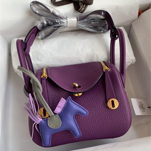 Lindy Mini Bag Taurillon Clemence Leather Gold/Silver Tone Metal In Anemone Color HS