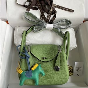 Lindy Mini Bag Taurillon Clemence Leather Gold/Silver Tone Metal In Vert Criquet Color HS