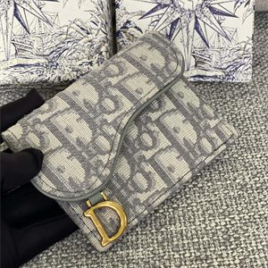 CD Saddle Card Holder Gray Dior Oblique Jacquard S5610