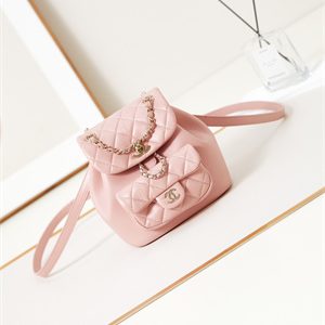 Cha.nel Duma Backpack Lambskin Gold Tone Metal Pink AS2908
