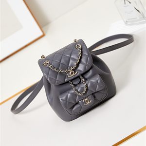 Cha.nel Duma Backpack Lambskin Gold Tone Metal Grey AS2908