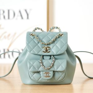 Cha.nel Duma Backpack Lambskin Gold Tone Metal Green AS2908