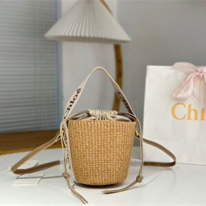 Chloe Small Woody Tote Bag In Nature Fibers 6865
