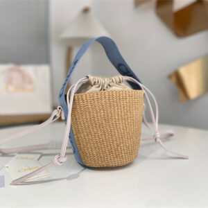 Chloe Small Woody Tote Bag In Nature Fibers 6865