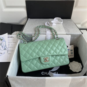 Chanel Medium Classic Flap Bag Lambskin Silver Tone Metal Lt Green 01112