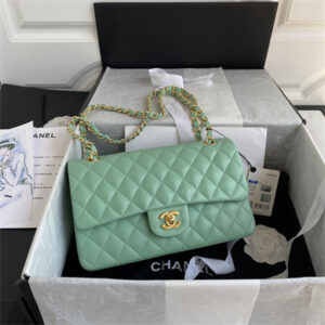 Chanel Medium Classic Flap Bag Lambskin Gold Tone Metal Lt Green 01112