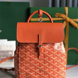 Goyard Alpin Mini Backpack Goyardine Canvas & Chevroches Calfskin