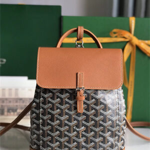 Goyard Alpin Mini Backpack Goyardine Canvas & Chevroches Calfskin