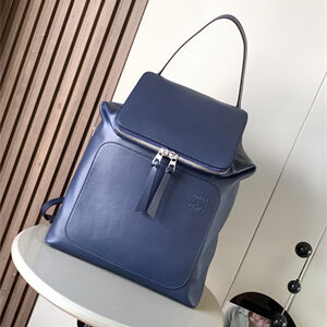 Loewe Goya Backpack In Silk Calfskin Navy Blue