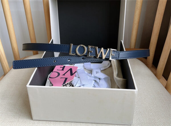 Loewe Belt In Smooth Calfskin 15MM Silver Hardware Blue/Brown - Image 5