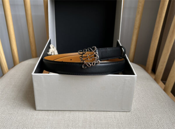 Loewe Belt In Smooth Calfskin 20MM  Silver Hardware Black/Brown - Image 5